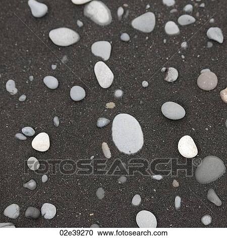 White pebbles on black sand View Large Photo Image Stock Image - White pebbles on black sand. Fotosearch