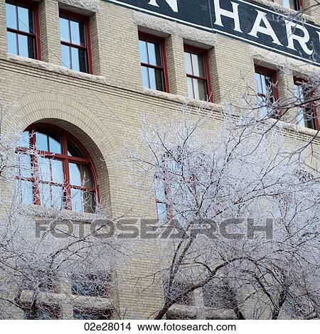 Winnipeg, Winter Frost View Large Photo Image Picture - Winnipeg, Winter Frost. Fotosearch