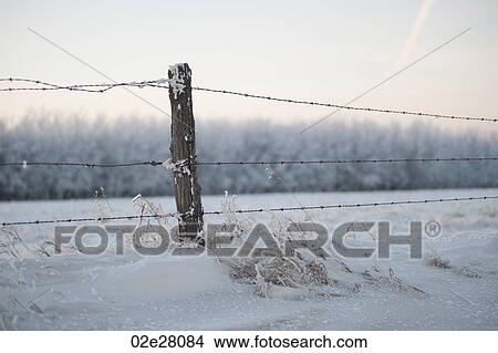 Picture - Winnipeg, Winter Frost. Fotosearch