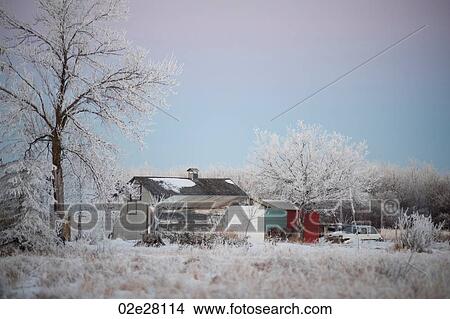 Winnipeg, Winter Frost View Large Photo Image Picture - Winnipeg, Winter Frost. Fotosearch