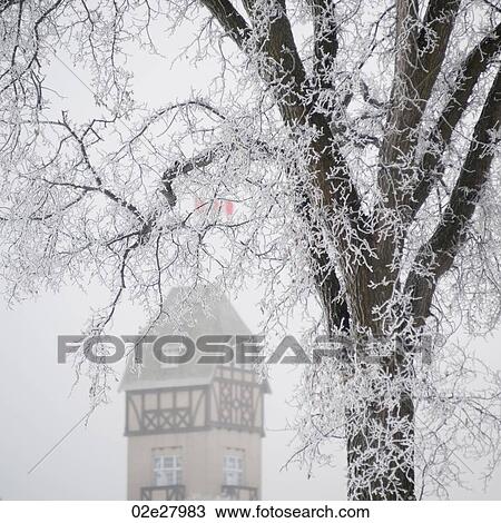 Winnipeg, Winter Frost View Large Photo Image Stock Image - Winnipeg, Winter Frost. Fotosearch