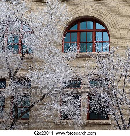 Stock Image - Winnipeg, Winter Frost. Fotosearch