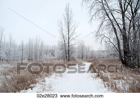 Stock Image - Winnipeg, Winter Frost. Fotosearch