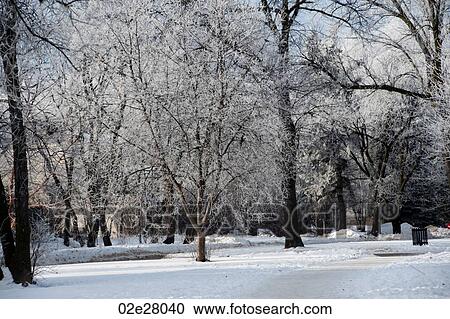 Stock Image - Winnipeg, Winter Frost. Fotosearch