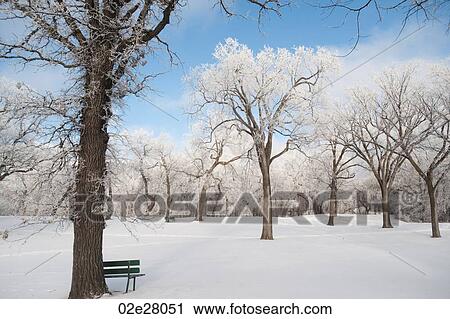 Winnipeg, Winter Frost View Large Photo Image Stock Image - Winnipeg, Winter Frost. Fotosearch