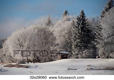 Winnipeg, Winter Frost View Large Photo Image Stock Image - Winnipeg, Winter Frost. Fotosearch