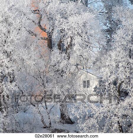 Stock Image - Winnipeg, Winter Frost. Fotosearch