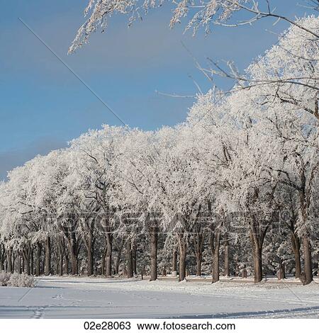 Winnipeg, Winter Frost View Large Photo Image Stock Image - Winnipeg, Winter Frost. Fotosearch