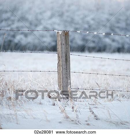 Stock Image - Winnipeg, Winter Frost. Fotosearch