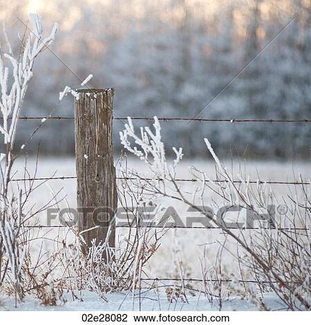 Winnipeg, Winter Frost View Large Photo Image Stock Image - Winnipeg, Winter Frost. Fotosearch