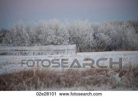 Winnipeg, Winter Frost View Large Photo Image Stock Image - Winnipeg, Winter Frost. Fotosearch