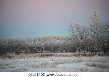 Stock Image - Winnipeg, Winter Frost. Fotosearch