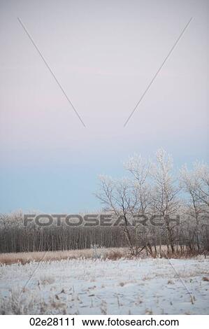 Stock Image - Winnipeg, Winter Frost. Fotosearch