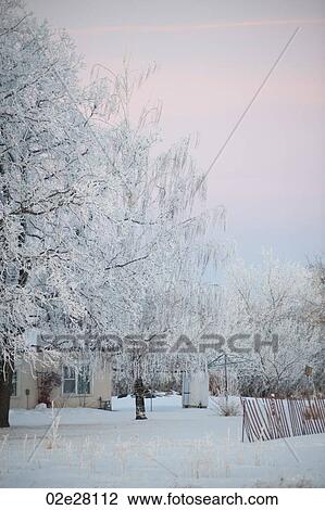 Stock Image - Winnipeg, Winter Frost. Fotosearch