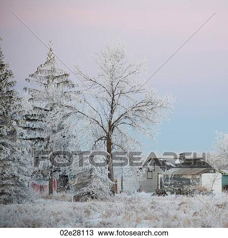 Stock Image - Winnipeg, Winter Frost. Fotosearch