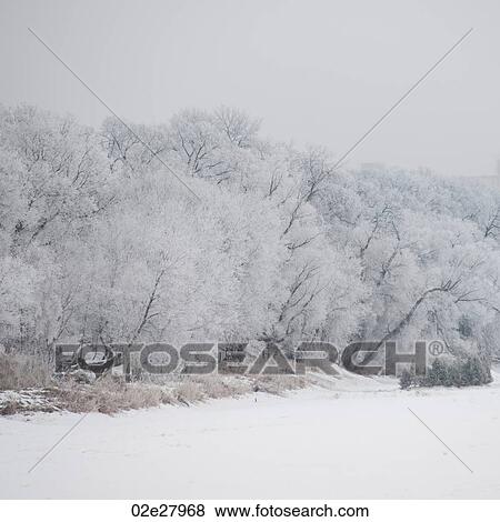 Winnipeg, Winter Frost View Large Photo Image Stock Photo - Winnipeg, Winter Frost. Fotosearch