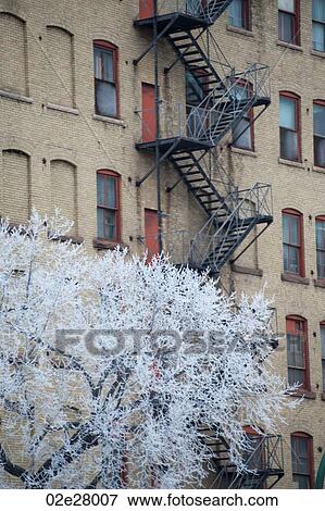 Stock Photo - Winnipeg, Winter Frost. Fotosearch