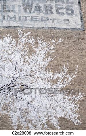 Stock Photo - Winnipeg, Winter Frost. Fotosearch