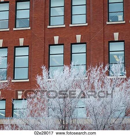 Winnipeg, Winter Frost View Large Photo Image Stock Photo - Winnipeg, Winter Frost. Fotosearch