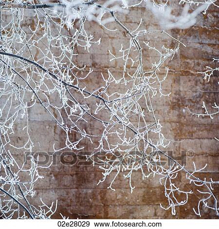 Winnipeg, Winter Frost View Large Photo Image Stock Photo - Winnipeg, Winter Frost. Fotosearch