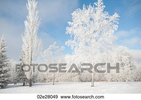 Stock Photo - Winnipeg, Winter Frost. Fotosearch