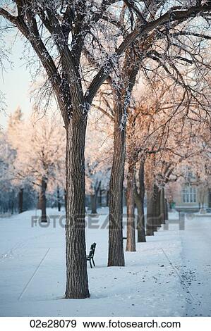Winnipeg, Winter Frost View Large Photo Image Stock Photo - Winnipeg, Winter Frost. Fotosearch