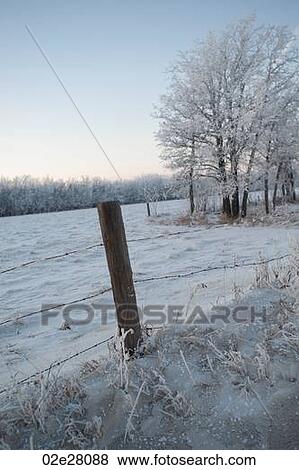 Stock Photo - Winnipeg, Winter Frost. Fotosearch