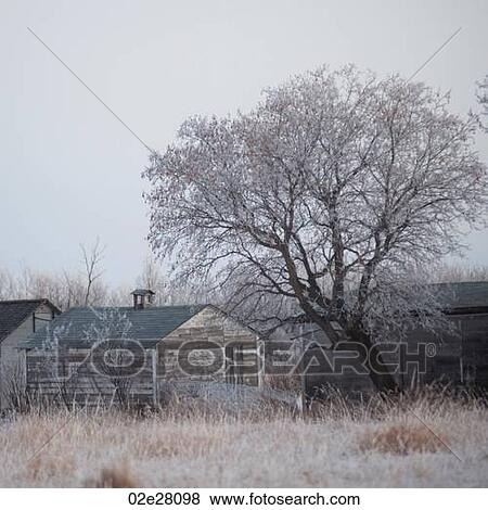 Winnipeg, Winter Frost View Large Photo Image Stock Photo - Winnipeg, Winter Frost. Fotosearch