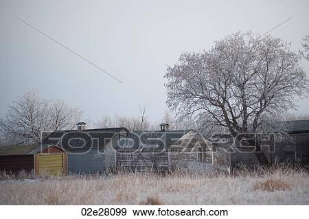 Winnipeg, Winter Frost View Large Photo Image Stock Photo - Winnipeg, Winter Frost. Fotosearch