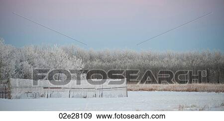 Winnipeg, Winter Frost View Large Photo Image Stock Photo - Winnipeg, Winter Frost. Fotosearch
