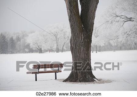 Winnipeg, Winter Frost View Large Photo Image Stock Photograph - Winnipeg, Winter Frost. Fotosearch