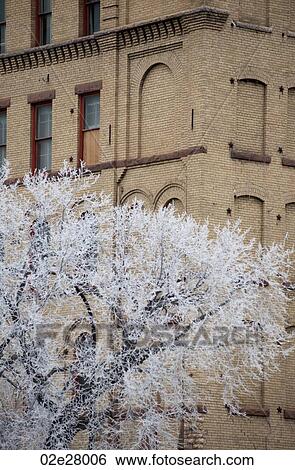 Winnipeg, Winter Frost View Large Photo Image Stock Photograph - Winnipeg, Winter Frost. Fotosearch
