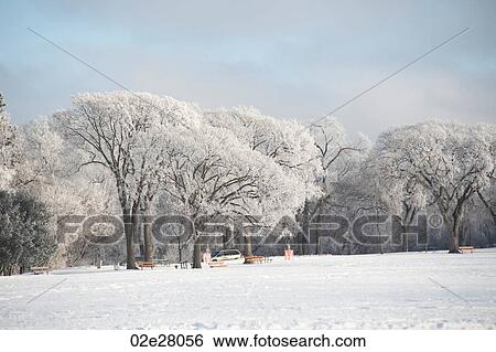 Stock Photograph - Winnipeg, Winter Frost. Fotosearch