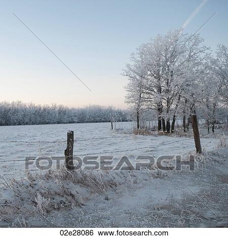 Winnipeg, Winter Frost View Large Photo Image Stock Photograph - Winnipeg, Winter Frost. Fotosearch