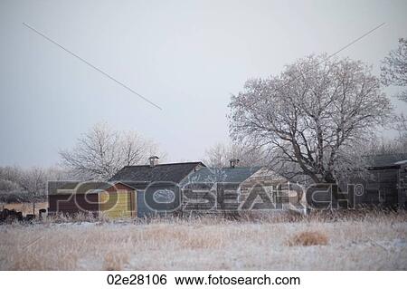 Winnipeg, Winter Frost View Large Photo Image Stock Photograph - Winnipeg, Winter Frost. Fotosearch