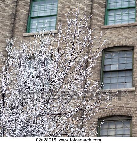 Winnipeg, Winter Frost View Large Photo Image Stock Photography - Winnipeg, Winter Frost. Fotosearch