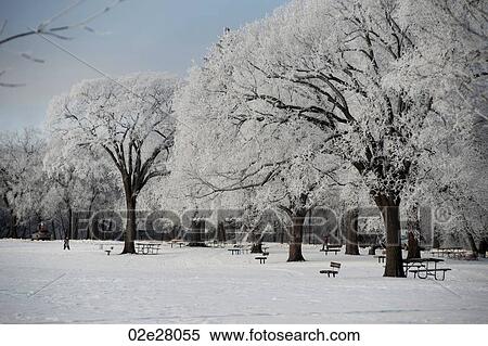 Winnipeg, Winter Frost View Large Photo Image Stock Photography - Winnipeg, Winter Frost. Fotosearch