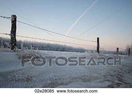 Winnipeg, Winter Frost View Large Photo Image Stock Photography - Winnipeg, Winter Frost. Fotosearch