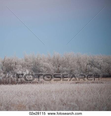 Winnipeg, Winter Frost View Large Photo Image Stock Photography - Winnipeg, Winter Frost. Fotosearch