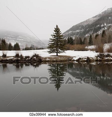 Winter landscape in Vail, Colorado View Large Photo Image Picture - Winter landscape in Vail, Colorado. Fotosearch