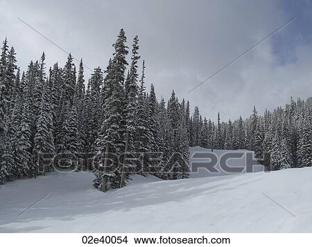Winter landscape in Vail, Colorado View Large Photo Image Picture - Winter landscape in Vail, Colorado. Fotosearch
