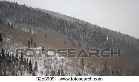 Winter landscape in Vail, Colorado View Large Photo Image Stock Image - Winter landscape in Vail, Colorado. Fotosearch