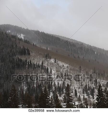 Winter landscape in Vail, Colorado View Large Photo Image Stock Photo - Winter landscape in Vail, Colorado. Fotosearch