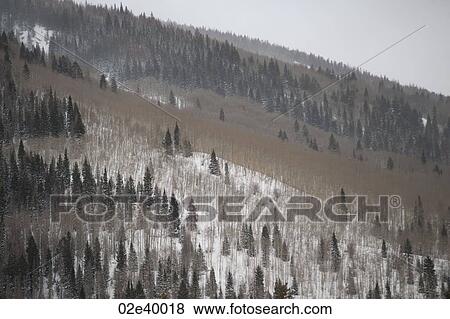Stock Photo - Winter landscape in Vail, Colorado. Fotosearch