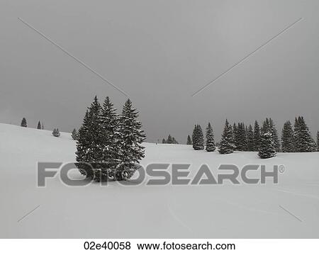 Stock Photo - Winter landscape in Vail, Colorado. Fotosearch
