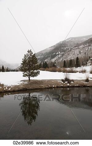 Winter landscape in Vail, Colorado View Large Photo Image Stock Photograph - Winter landscape in Vail, Colorado. Fotosearch