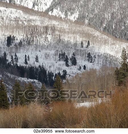 Winter landscape in Vail, Colorado View Large Photo Image Stock Photography - Winter landscape in Vail, Colorado. Fotosearch
