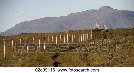 Wire fence disappearing in distance through dry pastureland up to mountain View Large Photo Image Stock Photograph - Wire fence disappearing in distance through dry pastureland up to mountain. Fotosearch