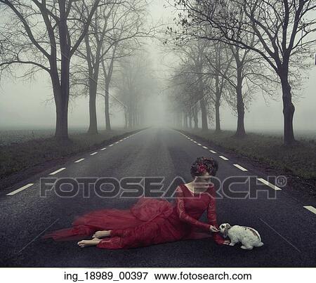 Adorable lady feeding wild rabbit View Large Photo Image Stock Photo - Adorable lady feeding wild rabbit. Fotosearch