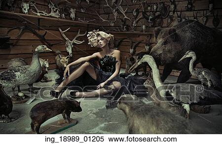 Alluring lady with wild animals View Large Photo Image Stock Photography - Alluring lady with wild animals. Fotosearch